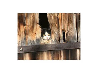 Apartment Ramsau am Dachstein Outdoor Recording 97