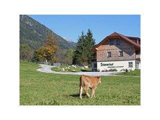 Urlaub am Bauernhof