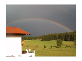 Regenbogen