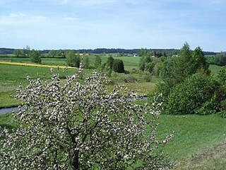 Im Frühling