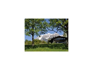 Blaubeerhügel Sommer