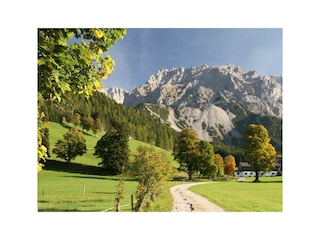 Scheichenspitze