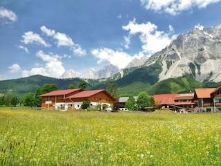 Minzlhof im Sommer
