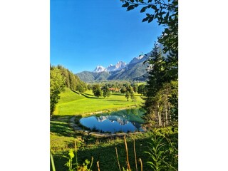 Langlaufbrücke inmitte unserer Wiese