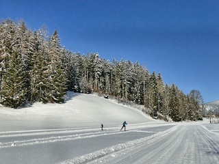 Langlaufstadion vor unserem Haus