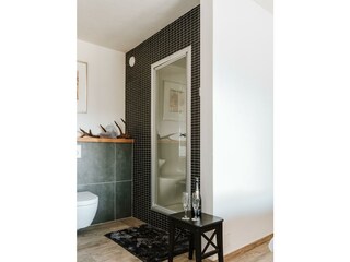 Appartement-1-Stoomdouchecabine