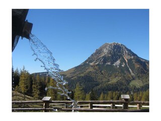IMG_5971