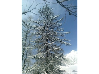 Foto0178