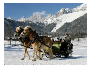 web_pferdeschlitten
