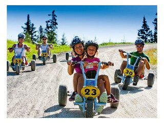 web_mountaingokart_hochwurzen