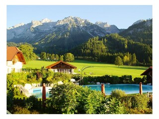 web_simonbauer_sommer