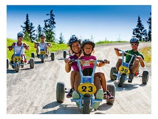 web_mountaingokart_hochwurzen