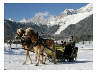 web_pferdeschlitten