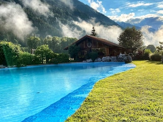 web_fru?hling_pool_IMG_4023