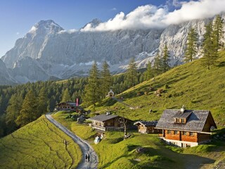 Unsere Brandalm am Fuße des Dachsteins
