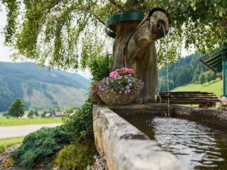 Belebendes Wasser.Frische Luft