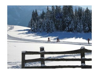 Blick vom Balkon