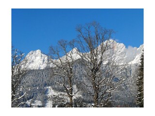 Blick vom Fenster