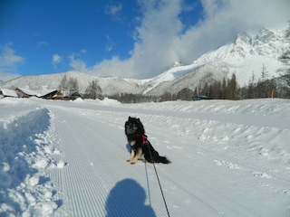 Winterwanderung mit Baghira