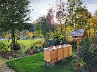 Bienenstöcke im Garten