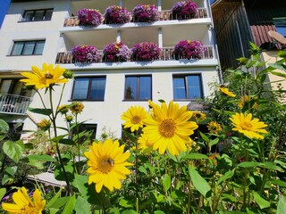 Garten Haus Herma