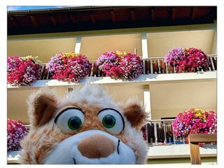 Leo im Garten Haus Herma