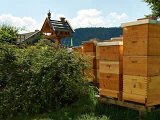 Honigräume im Garten