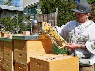 Imker Sebastian bei der Arbeit