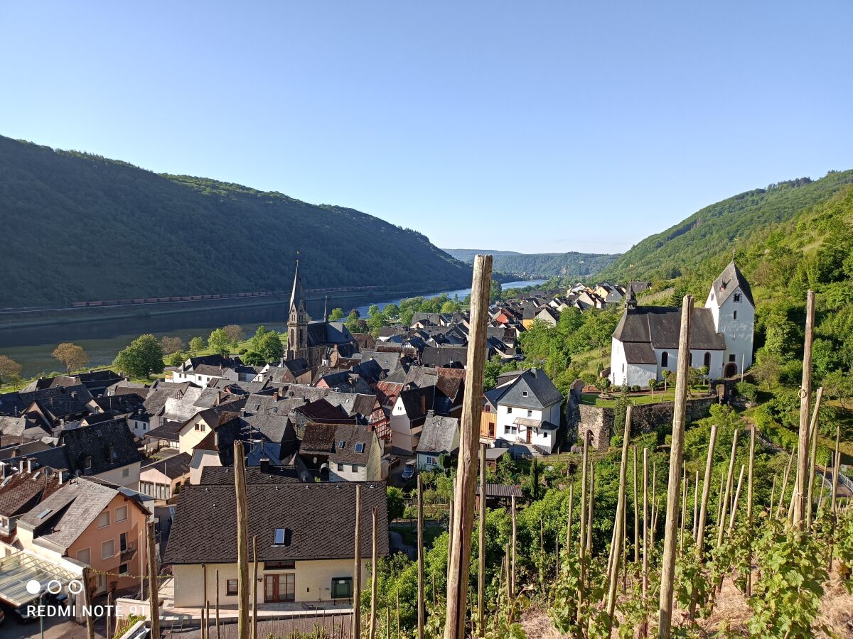 Blick vom Weinberg