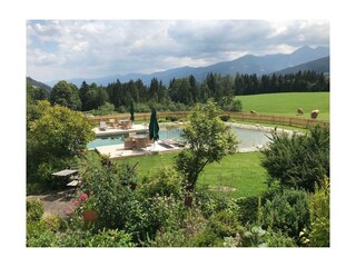 Schwimmteich mit Liegewiese- Bacherhof