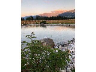 Schwimmteich - Bacherhof