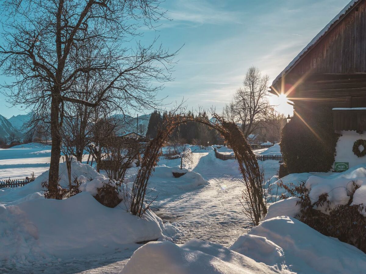 Bacherhof-Winter-Ramsau am Dachstein