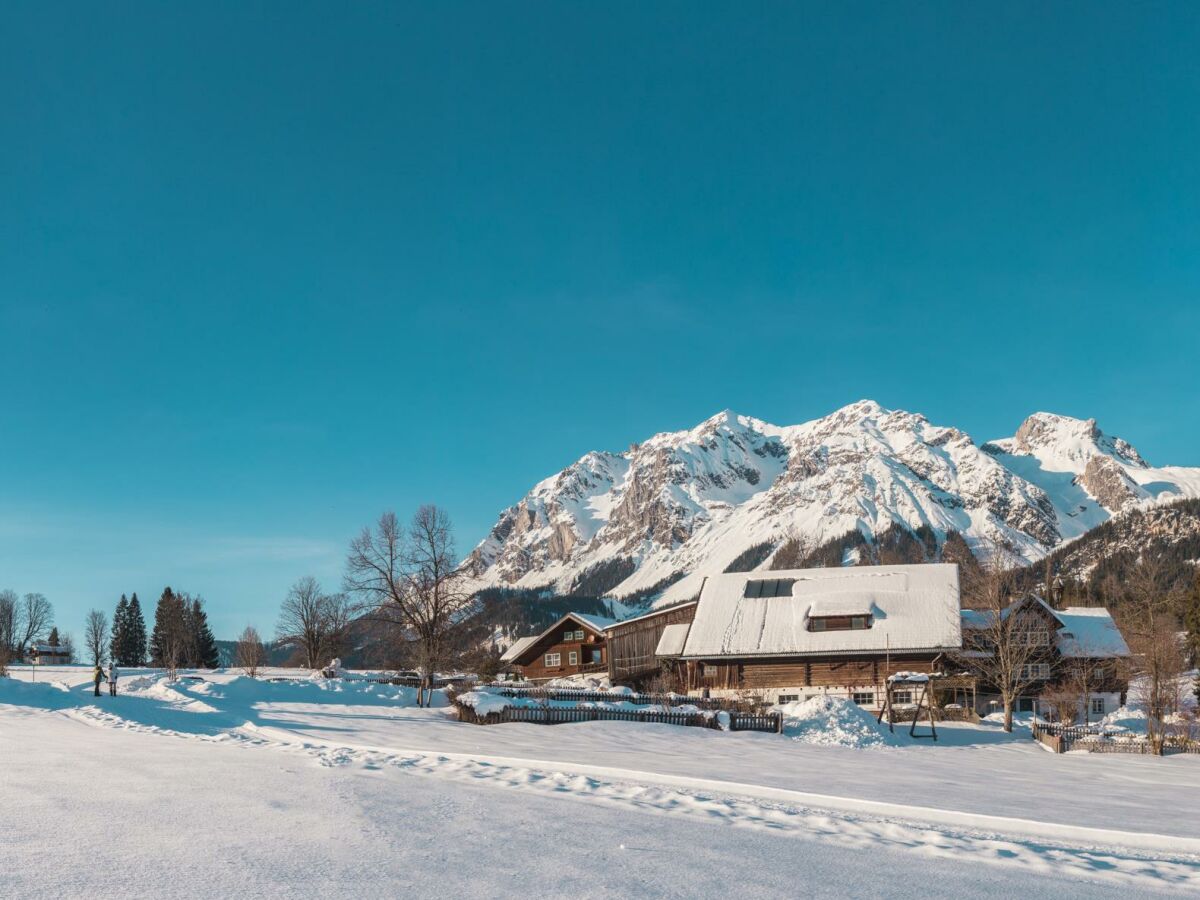 Winter am Bacherhof