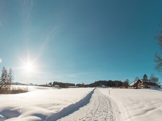 Bacherhof Ramsau am Dachstein _Winterwanderweg