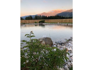 Schwimmteich - Bacherhof