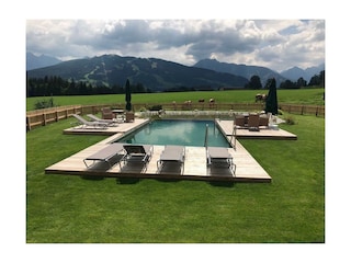 Schwimmteich - Bacherhof