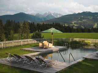 Bacherhof Schwimmteich