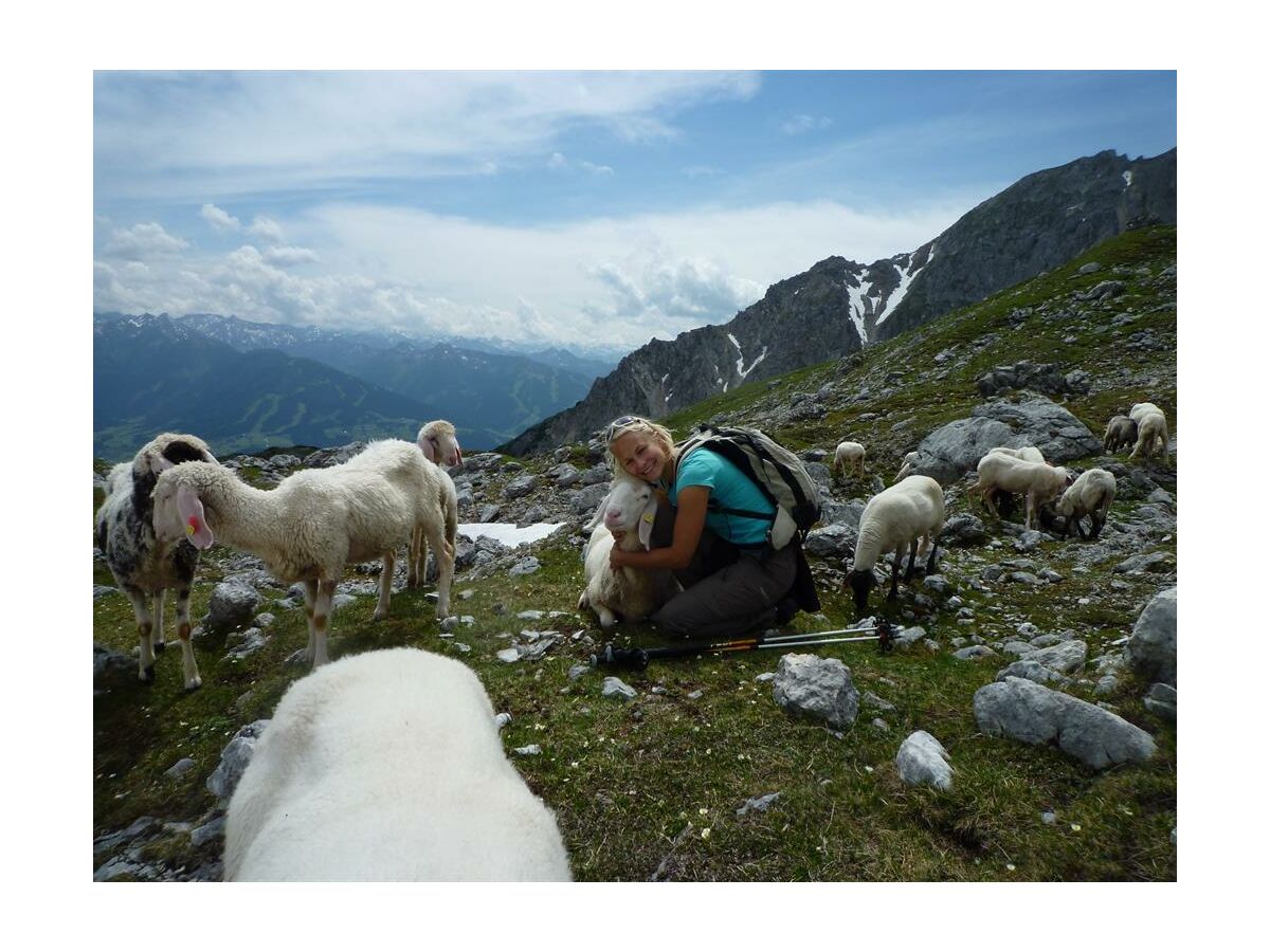 Ein Besuch bei unseren Schafen auf der Alm