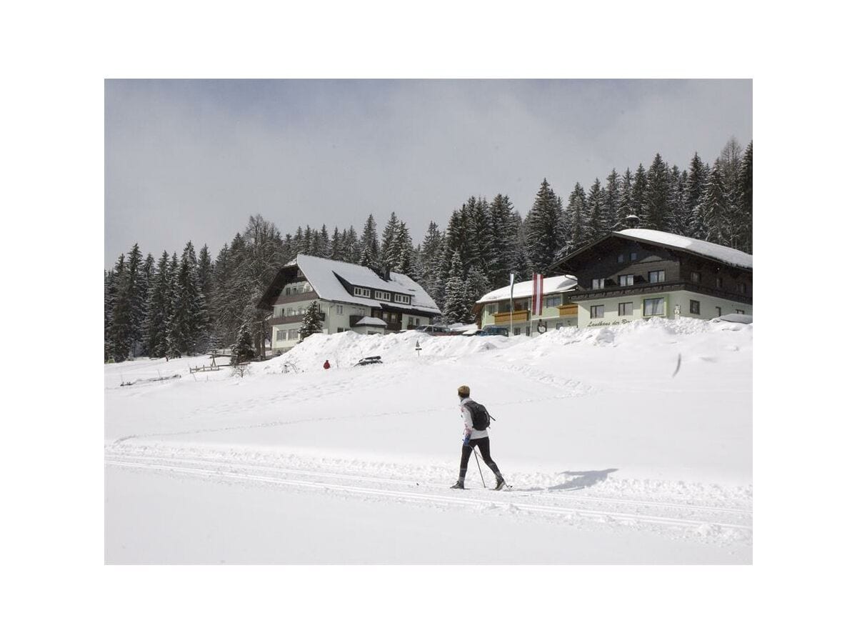 Winter Hotel Tischlbergerhof