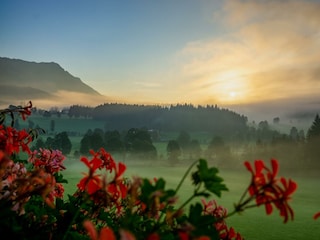 Tischlbergerhof im Morgennebel