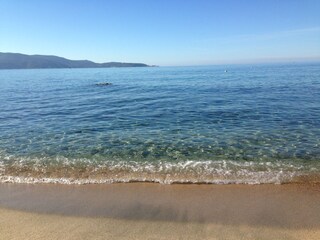 Casa per le vacanze Olmeto Ambiente 20
