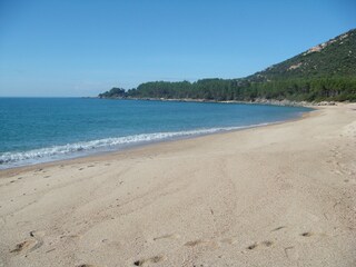 Casa per le vacanze Olmeto Ambiente 17