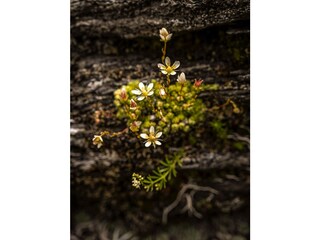 37_BERGYOGA_Obertauern_JoergMitter_6823