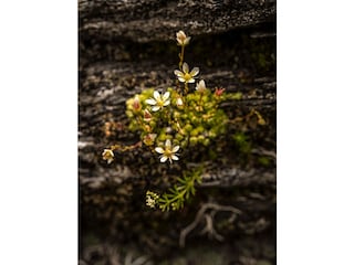 37_BERGYOGA_Obertauern_JoergMitter_6823