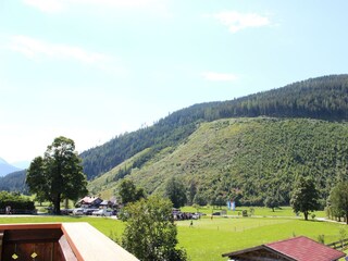 IMG_8250