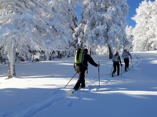 Skitour mit Bergführer Hans Prugger