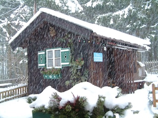 Unsere Holzhütte bei Schneetreiben