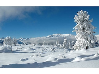 Bizarre Winterlandschaft am Ahorn