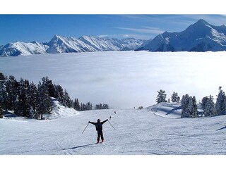 Vakantieappartement Mayrhofen Omgeving 21