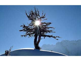 Appartamento per vacanze Mayrhofen Ambiente 22